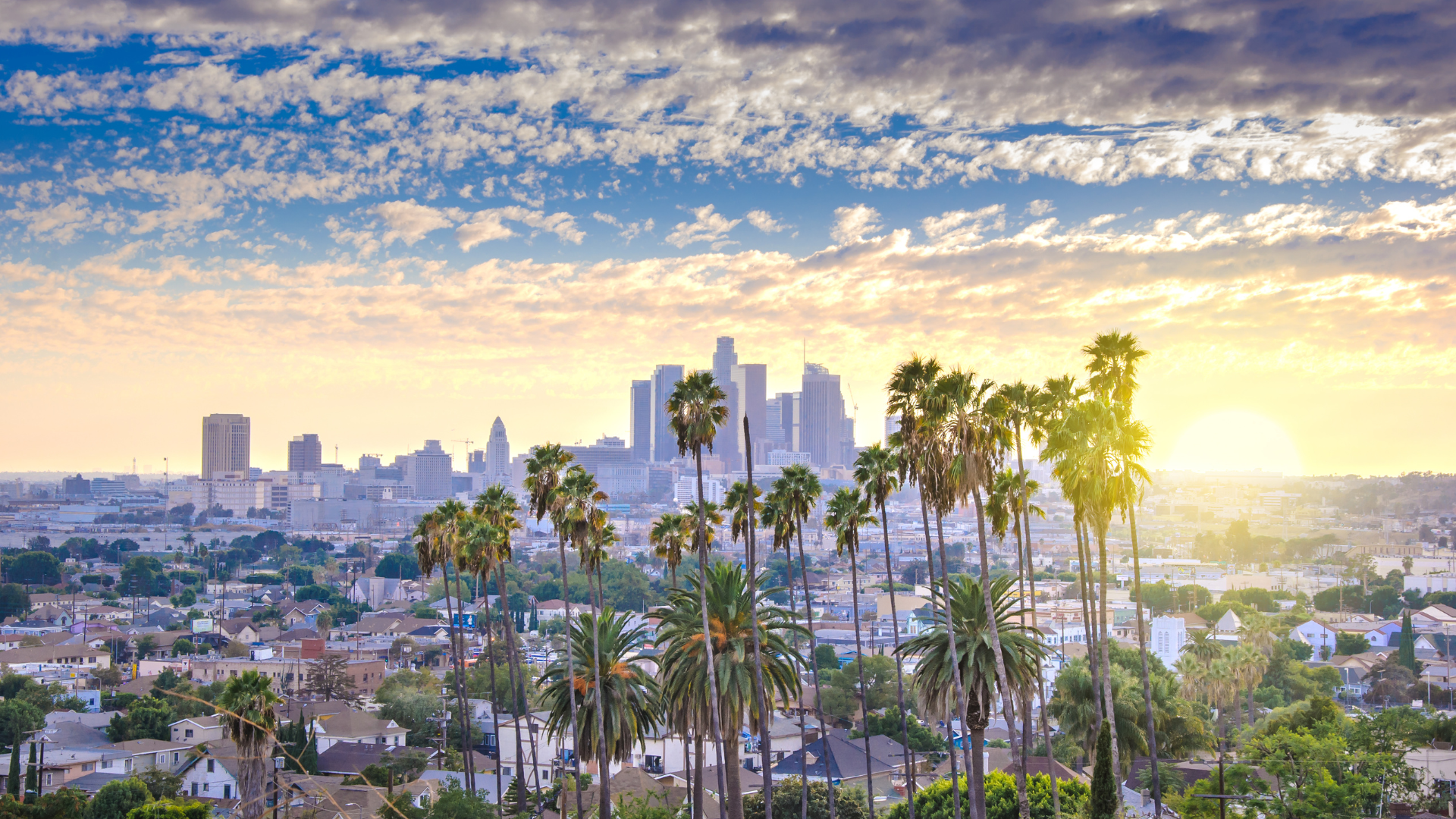 Skylines 2026