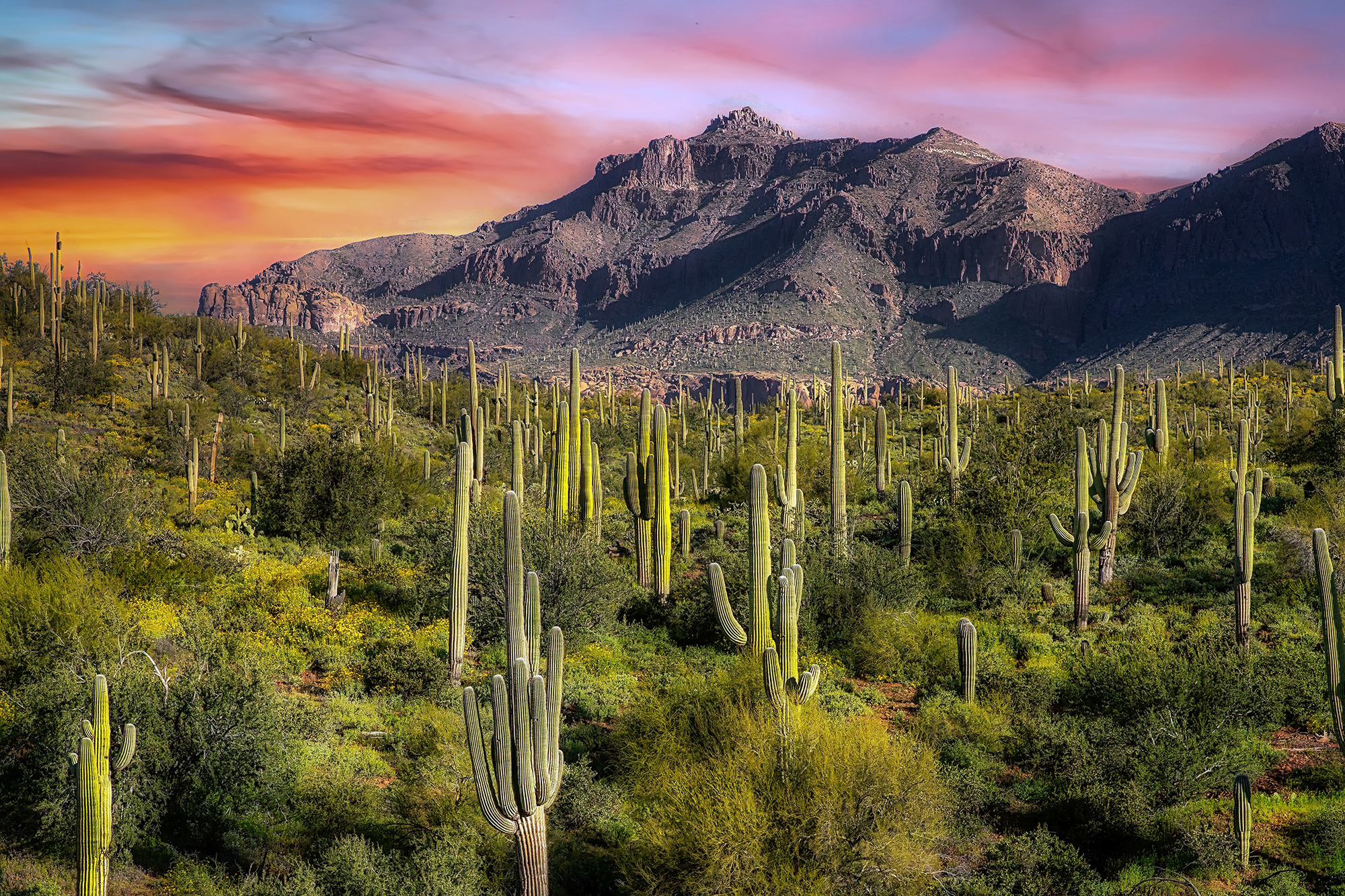 phoenix Phoenix, AZ